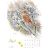 Auf diesem Bild sehen Sie das Produktbild 3 fr KALENDER VOGELIMPRESSIONEN 2026 - CHRISTOPHER SCHMIDT