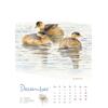 Auf diesem Bild sehen Sie das Produktbild 4 fr KALENDER VOGELIMPRESSIONEN 2026 - CHRISTOPHER SCHMIDT