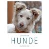 LITERARISCHER HUNDE-KALENDER 2026 -