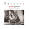 Auf diesem Bild sehen Sie das Produktbild 4 fr DER LITERARISCHE KATZEN- KALENDER 2026 - J. BACHSTEIN