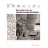 Auf diesem Bild sehen Sie das Produktbild fr 5 DER LITERARISCHE KATZEN- KALENDER 2026 - J. BACHSTEIN