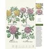 Auf diesem Bild sehen Sie das Produktbild 2 fr THORBECKES ROSEN-KALENDER 2026 - WOCHENKALENDER