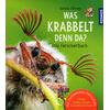 WAS KRABBELT DENN DA? - (M) B�RBEL OFTRING