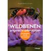 WILDBIENEN ARTGERECHT UNTER- STÜTZEN - A. NIEBEL-LOHMANN