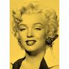 GOLDEN MARILYN - DIE JUBILÄUMS AUSGABE - MARILYN MONROE