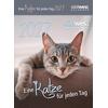 Auf diesem Bild sehen Sie das Produktbild 1 f�r KALENDER EINE KATZE F�R JEDEN TAG 2027 -