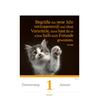 Auf diesem Bild sehen Sie das Produktbild 2 f�r KALENDER EINE KATZE F�R JEDEN TAG 2027 -