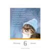 Auf diesem Bild sehen Sie das Produktbild 3 f�r KALENDER EINE KATZE F�R JEDEN TAG 2027 -