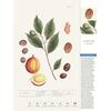 Auf diesem Bild sehen Sie das Produktbild 2 f�r THORBECKES GEW�RZE-KALENDER 2027 -