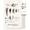Auf diesem Bild sehen Sie das Produktbild 4 f�r THORBECKES GEW�RZE-KALENDER 2027 -