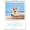 Auf diesem Bild sehen Sie das Produktbild 1 f�r LITERARISCHER HUNDE-KALENDER 2027 -