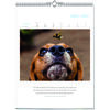 Auf diesem Bild sehen Sie das Produktbild 2 f�r LITERARISCHER HUNDE-KALENDER 2027 -