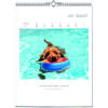Auf diesem Bild sehen Sie das Produktbild 4 f�r LITERARISCHER HUNDE-KALENDER 2027 -