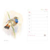 Auf diesem Bild sehen Sie das Produktbild 4 f�r MEIN NATURKALENDER 2027 - CHRISTOPHER SCHMIDT