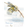 Auf diesem Bild sehen Sie das Produktbild 4 f�r KALENDER VOGELIMPRESSIONEN 2027 - CHRISTOPHER SCHMIDT