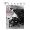 Auf diesem Bild sehen Sie das Produktbild 3 f�r D. LITERARISCHE KATZENKALENDER 2027 -