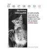Auf diesem Bild sehen Sie das Produktbild 4 f�r D. LITERARISCHE KATZENKALENDER 2027 -