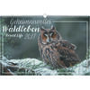Auf diesem Bild sehen Sie das Produktbild 1 f�r KALENDER GEHEIMNISVOLLES WALDLEBEN 2027 -