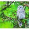 Auf diesem Bild sehen Sie das Produktbild 1 f�r KALENDER GELIEBTE EULEN 2027 -