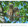 Auf diesem Bild sehen Sie das Produktbild 2 f�r KALENDER GELIEBTE EULEN 2027 -