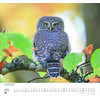 Auf diesem Bild sehen Sie das Produktbild 3 f�r KALENDER GELIEBTE EULEN 2027 -