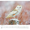Auf diesem Bild sehen Sie das Produktbild 4 f�r KALENDER GELIEBTE EULEN 2027 -