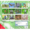 Auf diesem Bild sehen Sie das Produktbild f�r 5 KALENDER GELIEBTE EULEN 2027 -