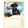 Auf diesem Bild sehen Sie das Produktbild 2 f�r KALENDER DACKEL 2027 -