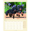 Auf diesem Bild sehen Sie das Produktbild 3 f�r KALENDER DACKEL 2027 -