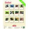 Auf diesem Bild sehen Sie das Produktbild f�r 5 KALENDER DACKEL 2027 -