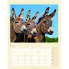 Auf diesem Bild sehen Sie das Produktbild 2 f�r KALENDER ESEL 2027 -