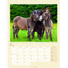 Auf diesem Bild sehen Sie das Produktbild 4 f�r KALENDER ESEL 2027 -
