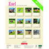 Auf diesem Bild sehen Sie das Produktbild f�r 5 KALENDER ESEL 2027 -
