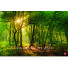 Auf diesem Bild sehen Sie das Produktbild 1 f�r KALENDER DER DEUTSCHE WALD - EIN LITERARISCHER SPAZIERGANG 2027