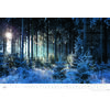 Auf diesem Bild sehen Sie das Produktbild 3 f�r KALENDER DER DEUTSCHE WALD - EIN LITERARISCHER SPAZIERGANG 2027