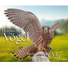KALENDER HEIMISCHE VÖGEL 2027