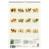 Auf diesem Bild sehen Sie das Produktbild 4 f�r WANDKALENDER H�HNER 2027 -