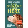 GRAUE SCHNAUZE, GROSSES   (M) HERZ - DODILLET/STRODTBECK