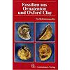 MARTILL, FOSSILIEN AUS ORNATENTON UND OXFORD CLAY (BRAUNES JURA)  (494-01355)