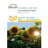RIESENSONNENBLUMEN-SAMEN