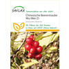 WU-WEI-ZI-BEEREN-SAMEN (SCHISANDRA-BEEREN-SAMEN)