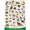 PUZZLE VGEL - 1000 TEILE Bild 2