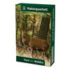 NATURQUARTETT TIERE DES WALDES