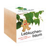 ECOCUBE LEBKUCHENBAUM SAMEN