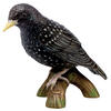 PORZELLAN-SKULPTUR STAR - VOGEL DES JAHRES 2018