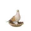 Auf diesem Bild sehen Sie das Produktbild 2 f�r PORZELLAN-SKULPTUR TURTELTAUBE - VOGEL DES JAHRES 2020