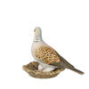 Auf diesem Bild sehen Sie das Produktbild 3 f�r PORZELLAN-SKULPTUR TURTELTAUBE - VOGEL DES JAHRES 2020