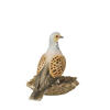 Auf diesem Bild sehen Sie das Produktbild 4 f�r PORZELLAN-SKULPTUR TURTELTAUBE - VOGEL DES JAHRES 2020