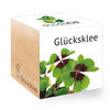 ECOCUBE GLCKSKLEE