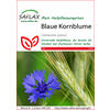 BLAUE KORNBLUME SAMEN